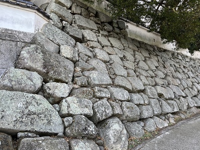 城西側の黒田時代の石垣