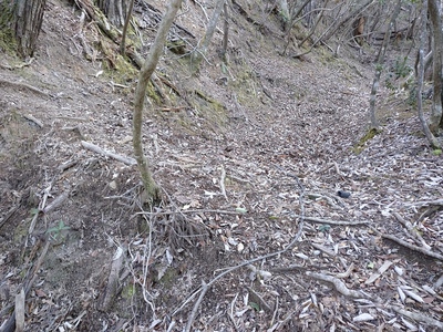 方形郭の土橋と虎口