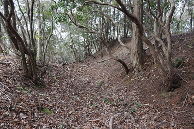 鶯丸の横堀