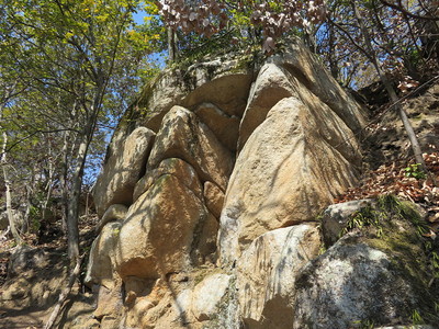 南の曲輪南端（Ⅵ）の岩壁