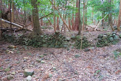 田光城 屋敷跡と思われる削平地の石積
