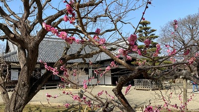 梅越しの弘道館