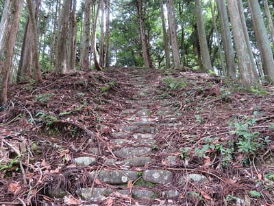 登城道（城址付近）