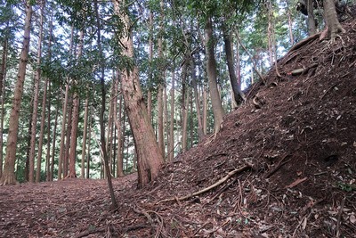 神所城 主郭南東の切岸（腰曲輪より）