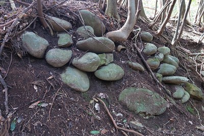 神所城 主郭北切岸の石垣