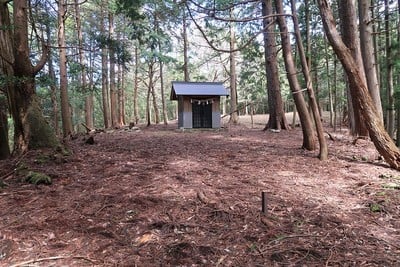 神所城 主郭（南西より）