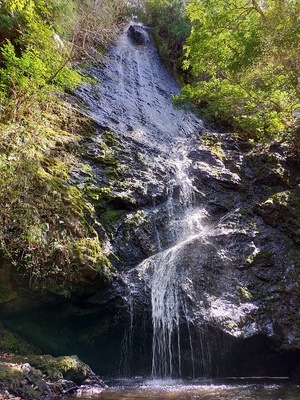 琴滝