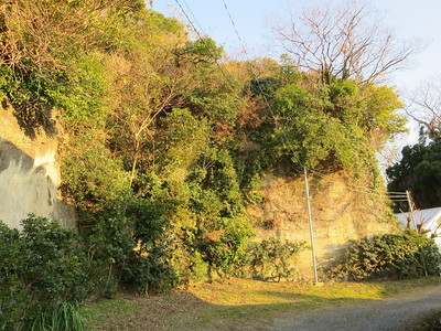 城山の西側の断崖