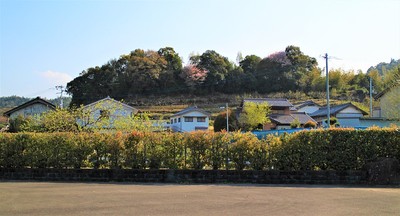 矢野城遠景（北側より）