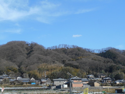 椿井城遠景