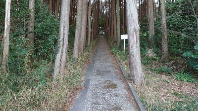 登城口