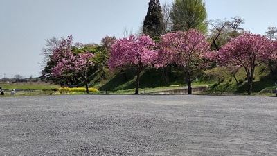 駐車場から城跡公園