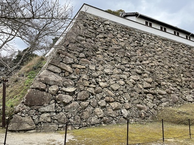 藤兵衛丸の石垣