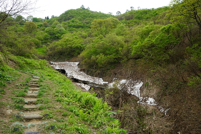 実城を望む