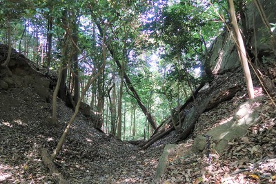 大給城 西の堀切B