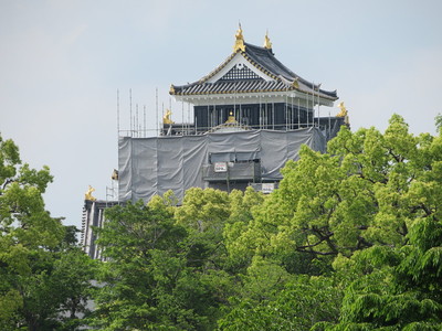改修終盤の岡山城（南から）