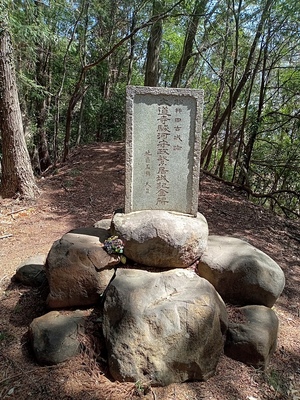 大道寺駿河守政繁居城記念碑