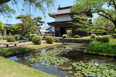 水堀跡と大手門