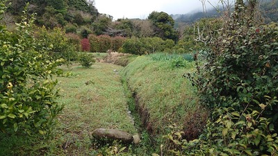 居館跡を囲む土塁①