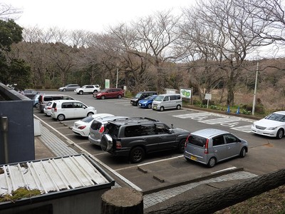 印旛沼公園の駐車場