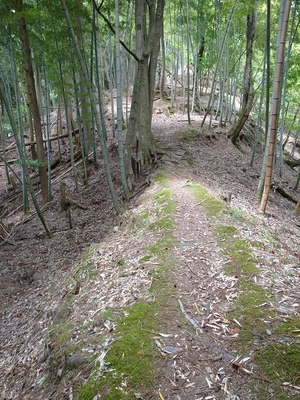 登城路