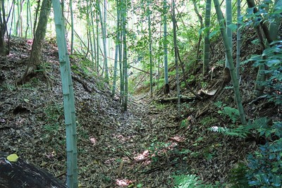 市場城 主郭北の虎口