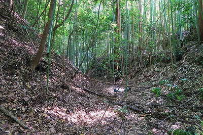 市場城 主郭空堀