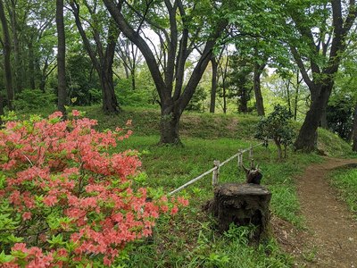 郭2の土塁