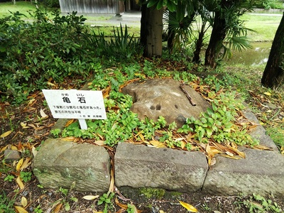 下屋敷庭園の亀石