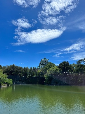 お堀越しの名古屋城