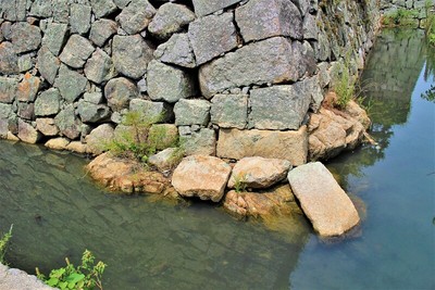 船入櫓跡石垣の岩礁部分