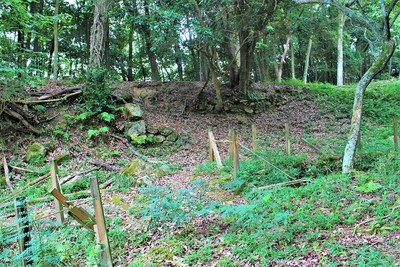 東の丸石垣（西側）