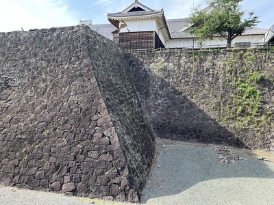 東竹の丸から見た本丸石垣