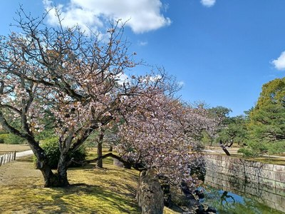 二の丸庭園（特別名勝）