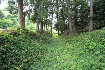 三の丸東側の横堀（5号堀）