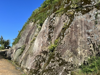 坂下門脇の岩壁