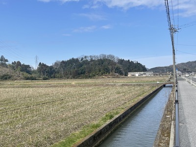 遠景(南から)