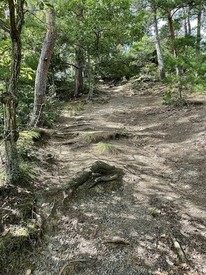 米山城武者道登り