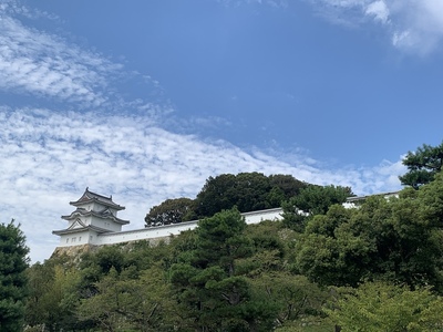 櫓(公園から)