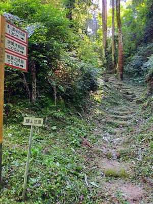 本丸への登城路