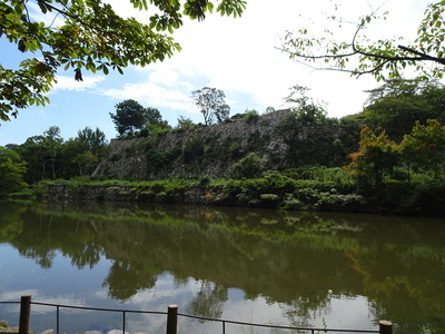 桜堀の石垣