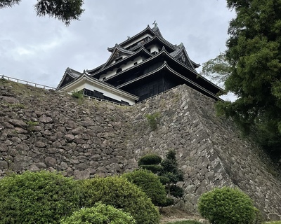 見上げる松江城