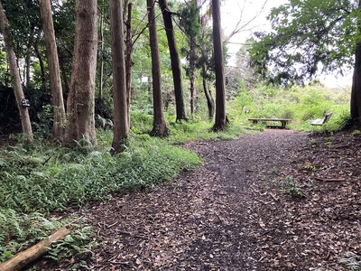 賤機山城・一の郭