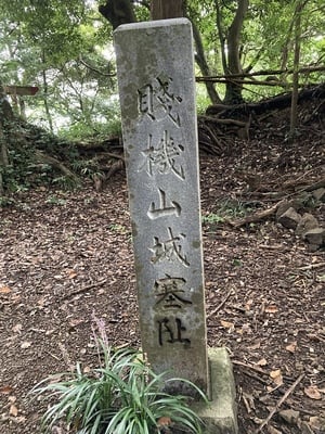 賤機山城・城石碑