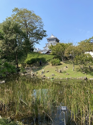 天守　小倉城庭園から