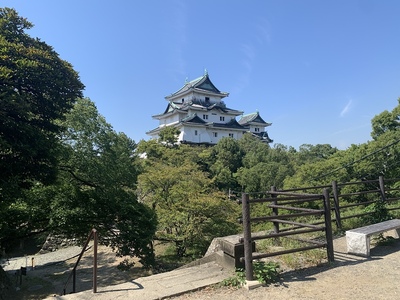 天守(本丸跡地より)