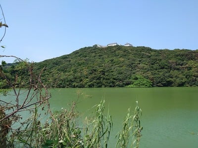 袋池越しの富岡城