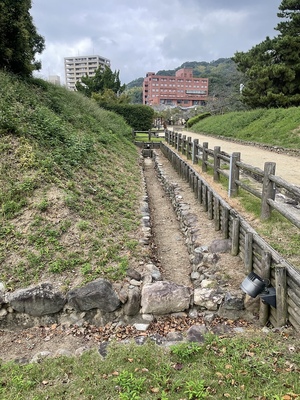 遮蔽土塁(左側)と排水溝