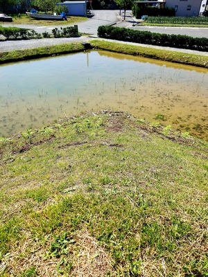 主郭土塁と水堀