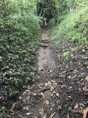 本丸へ向かう尾根通り